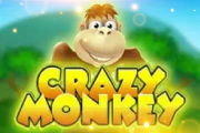 Crazy Monkey